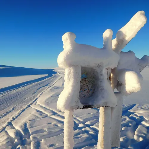 Forside vinter NHF, Frøystul